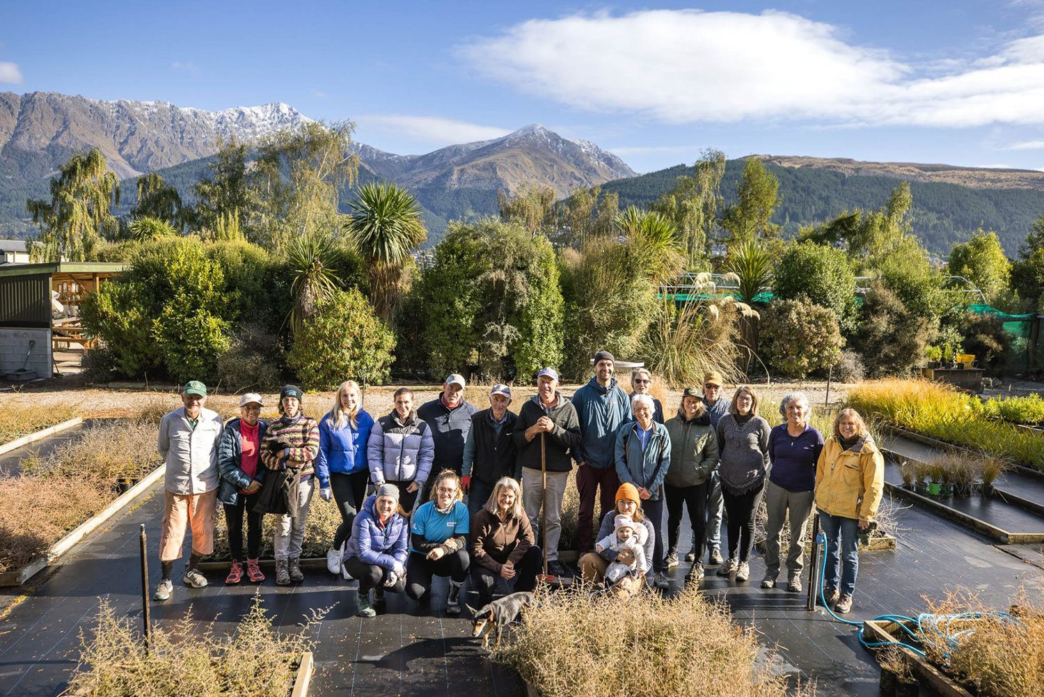 Whakatipu Reforestation Trust native plantings