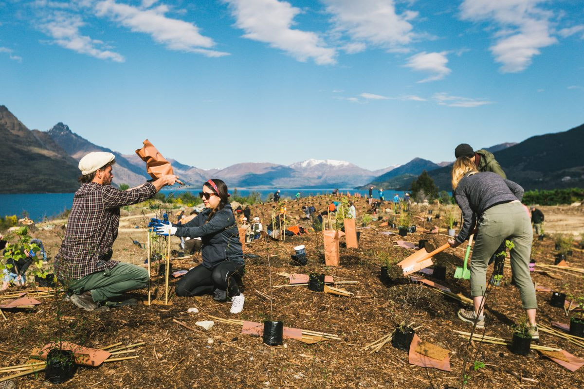 Arrowtown Community