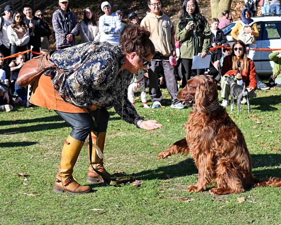 Dog Show - Arrowtown Autumn Festival