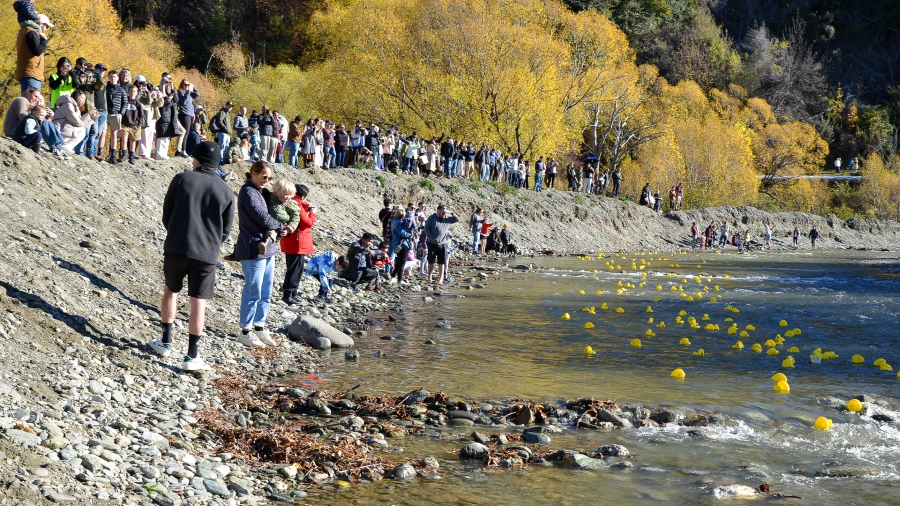 Duck Race - Arrowtown Autumn Festival