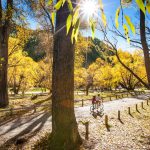 Arrowtown Millennium Walk