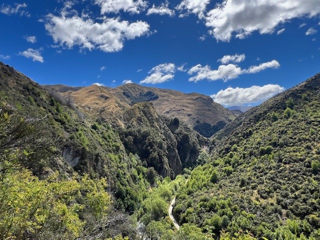 Sawpit Gully in summer