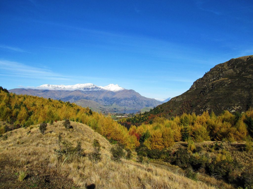 Sawpit Gully Trail