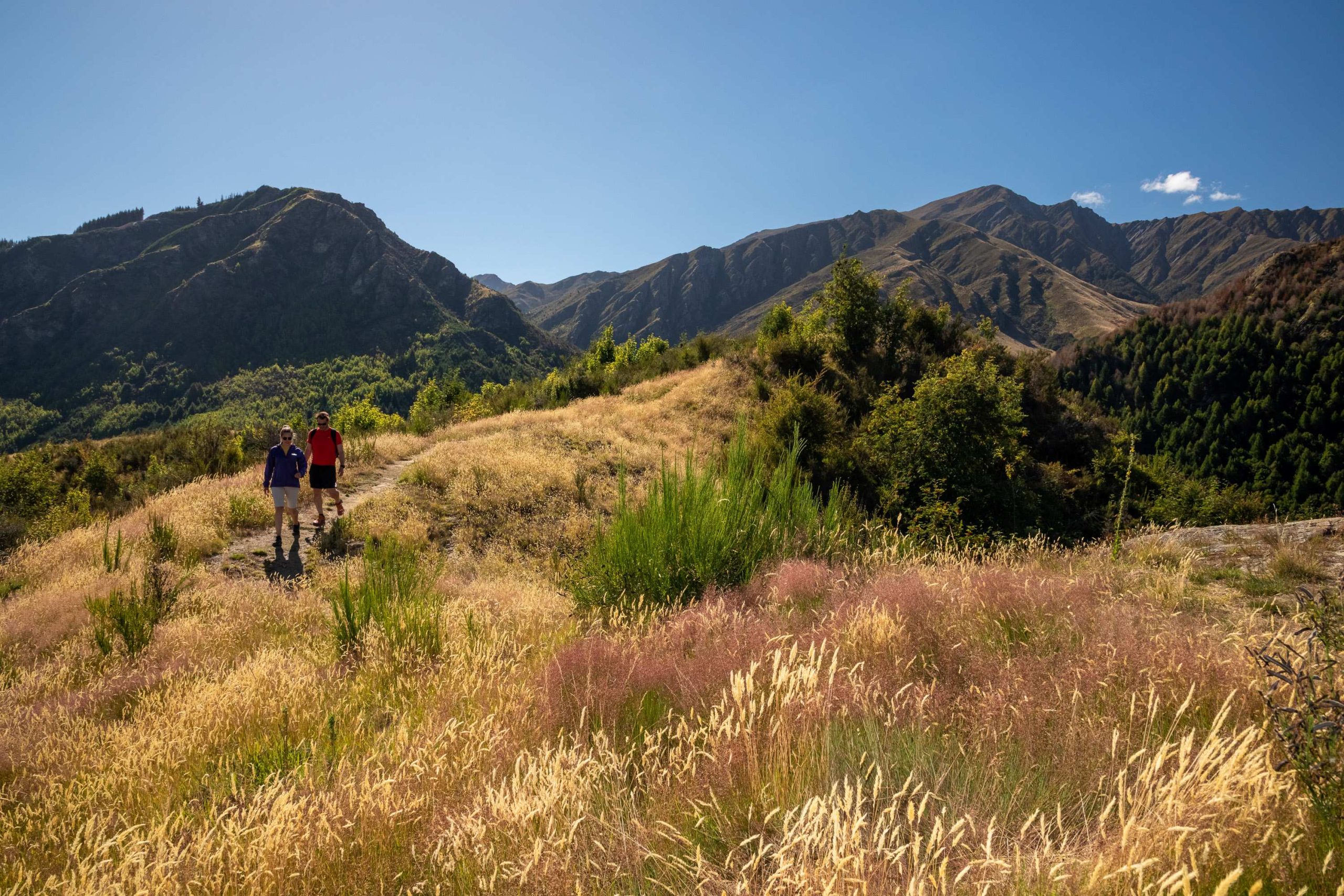 Hiking in Arrowtown