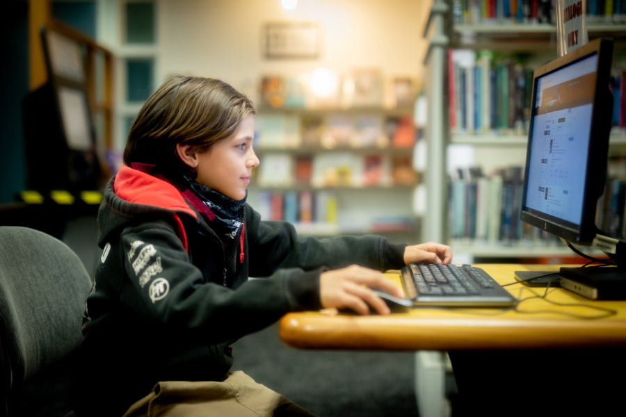 Arrowtown Library computers