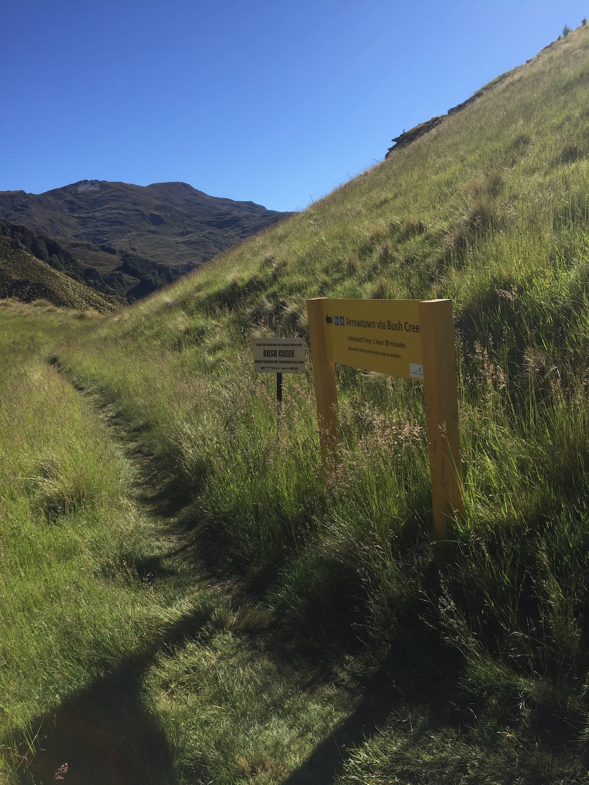 Bush-Creek bike trail