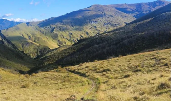 Coronet Loop trail biking Arrowtown