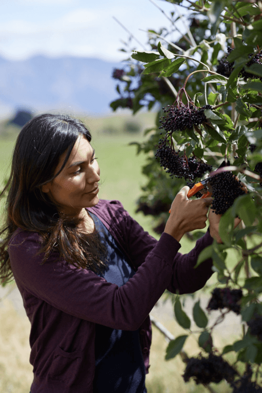 Nadia Lim - regenerative farming