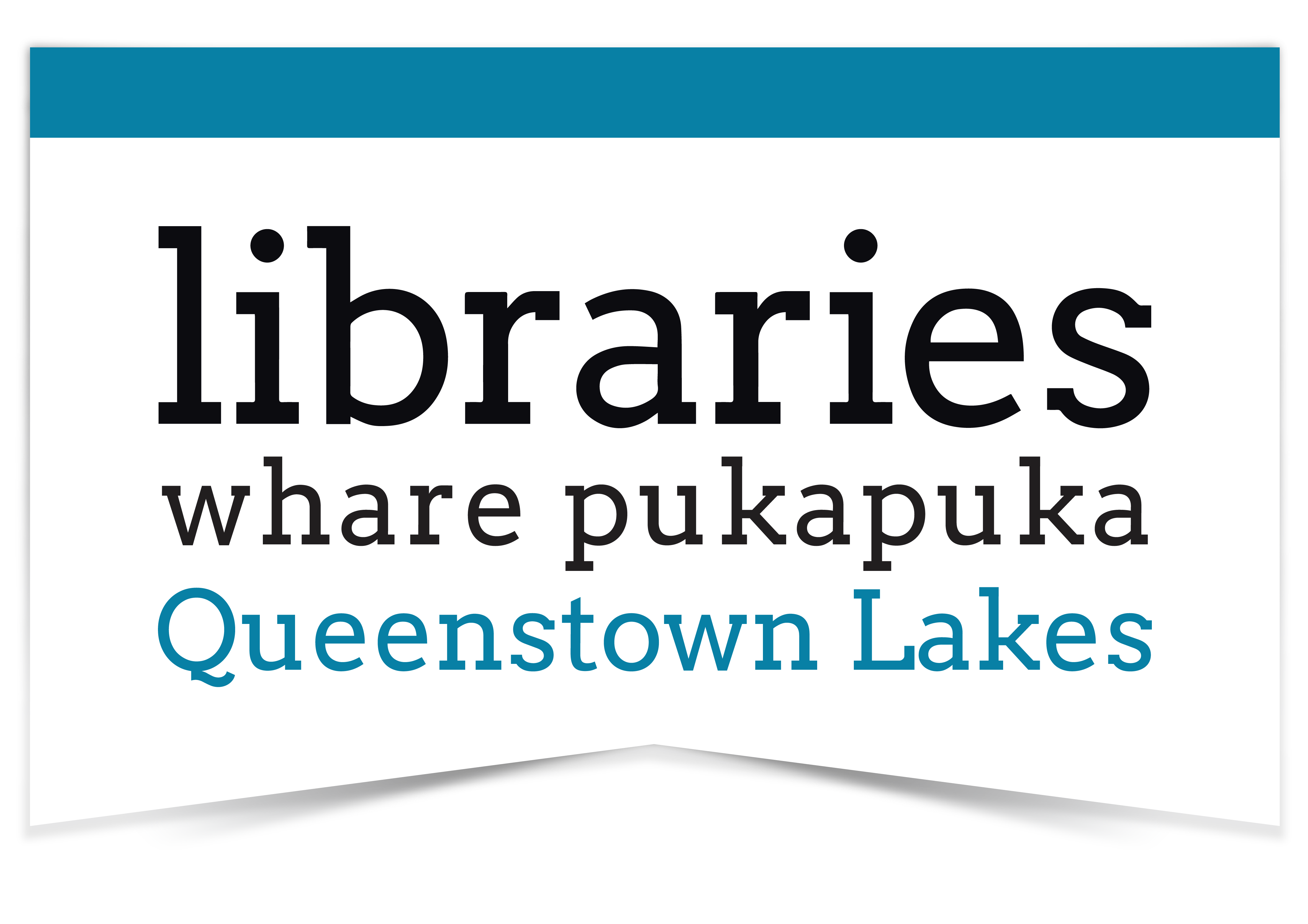 QLDC Libraries logo