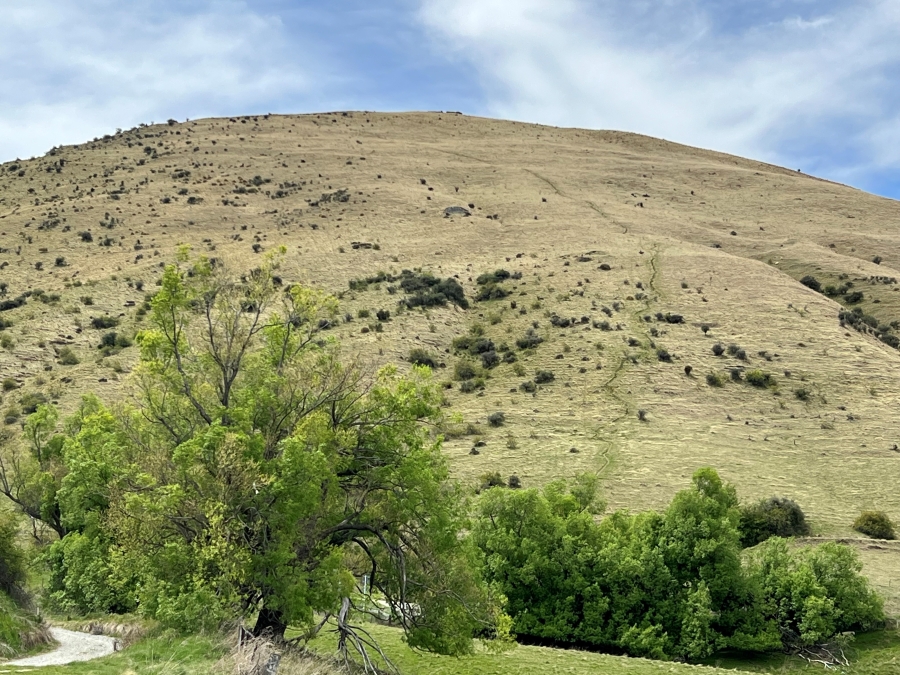 Mt Beetham trail