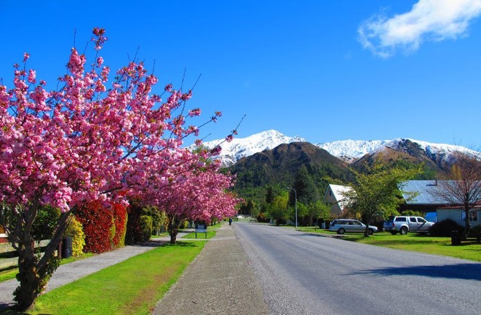 spring in arrowtown