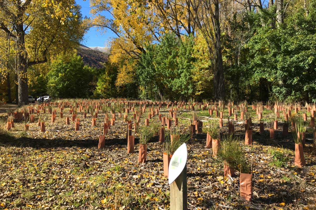 Bush Creek Arrowtown